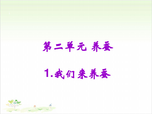四年级下册科学-我们来养蚕优秀课件苏教版