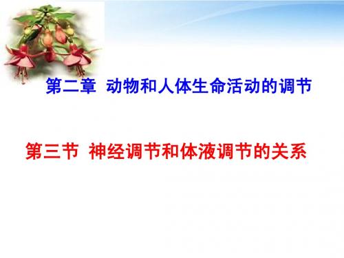 2.3神经调节和体液调节的关系