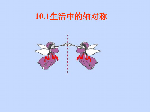 华师大版七年级数学下册：10.1《生活中的轴对称》课件