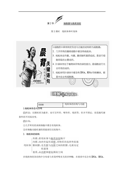 2019-2020学年高中生物北师大版必修一教学案：第3章 第2节 第1课时 线粒体和叶绿体 Word版含答案