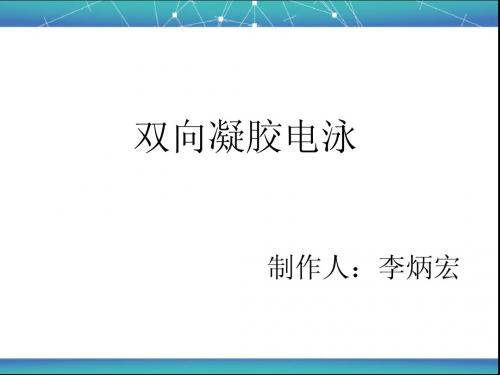 双向凝胶电泳