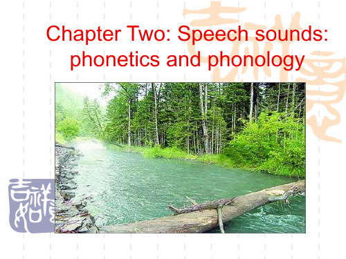 语言学教程课件2 Phonetics and Phonology