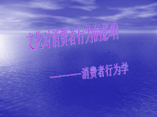 文化对消费者行为的影响
