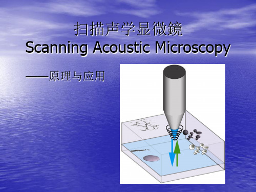 扫描声学显微技术_原理与应用