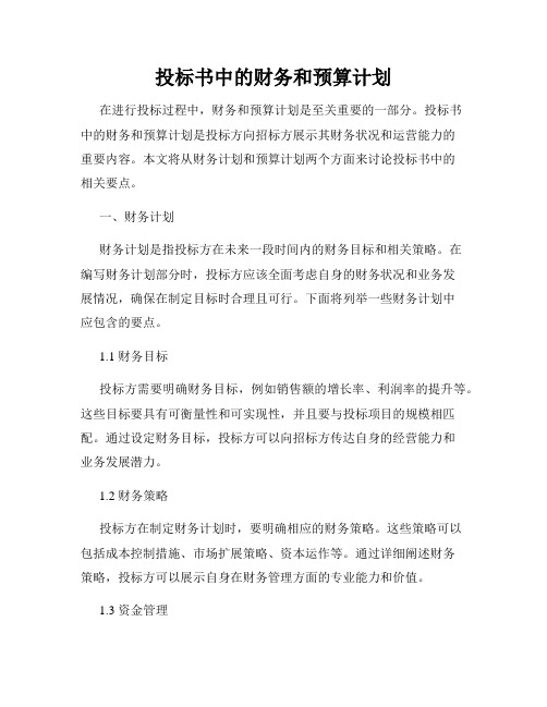 投标书中的财务和预算计划