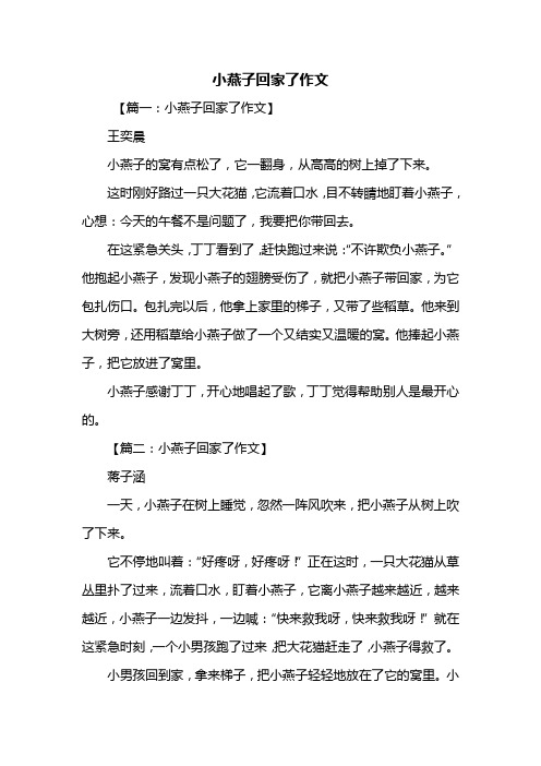二年级作文：小燕子回家了作文