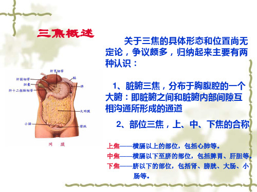 基础中医学：三焦