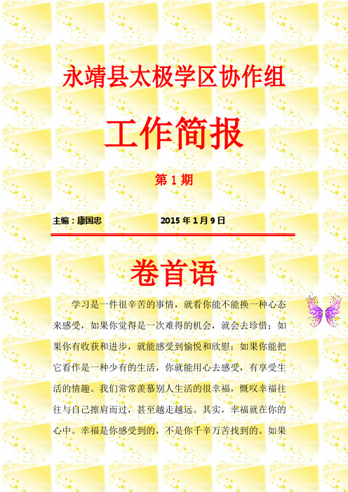 工作坊简报模板二[1]