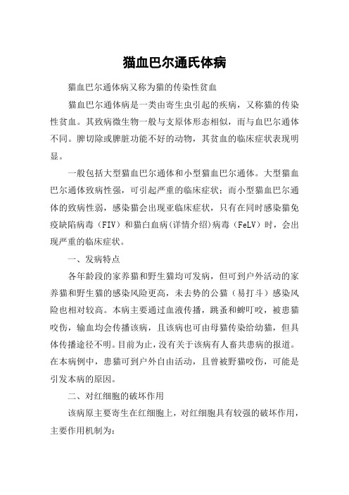 猫血巴尔通氏体病