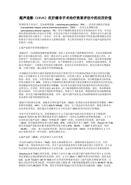 超声造影(CEUS)在肝癌非手术治疗效果评估中的应用价值