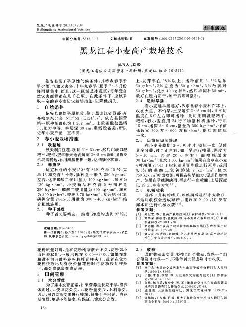 黑龙江春小麦高产栽培技术