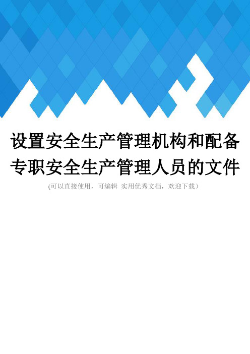 设置安全生产管理机构和配备专职安全生产管理人员的文件完整