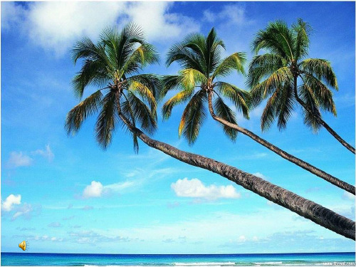 海滨音诗 PPT