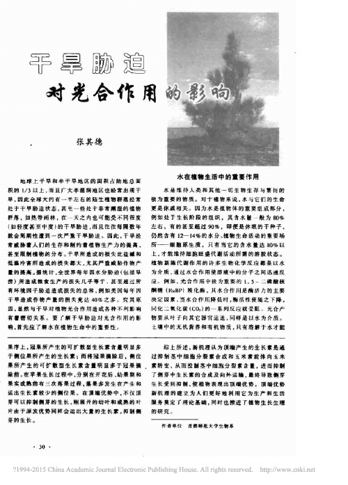干旱胁迫对光合作用的影响