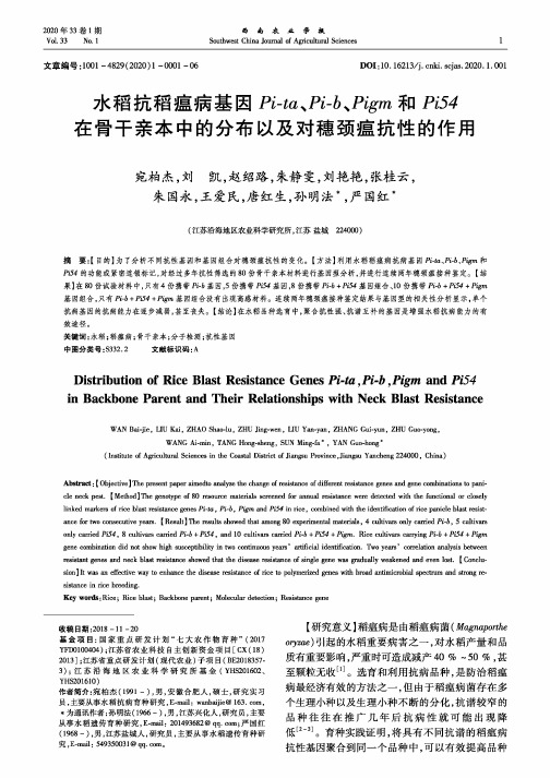 水稻抗稻瘟病基因pi-ta、pi-b、pigm和pi54在骨干亲本中的分布以及对穗