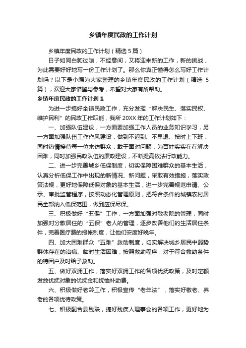 乡镇年度民政的工作计划（精选5篇）