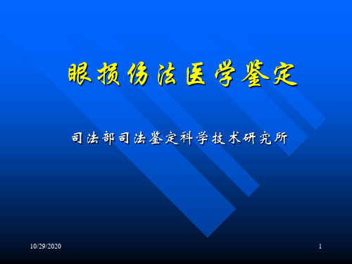 眼损伤法医学鉴定 法医学专家讲座