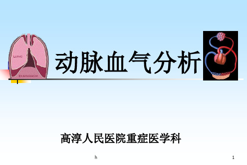 《动脉血气分析》PPT课件