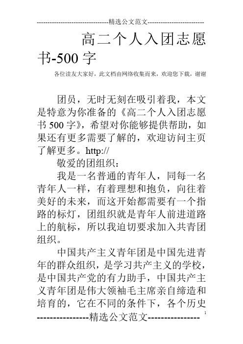 高二个人入团志愿书-500字