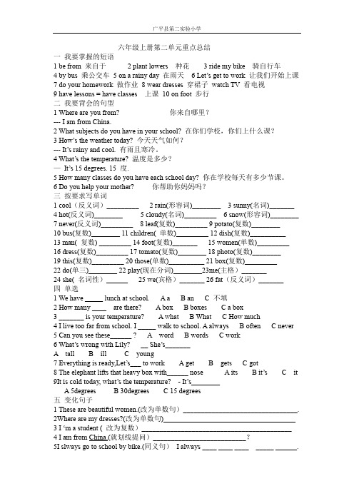 六年级英语上册第二单元重点总结