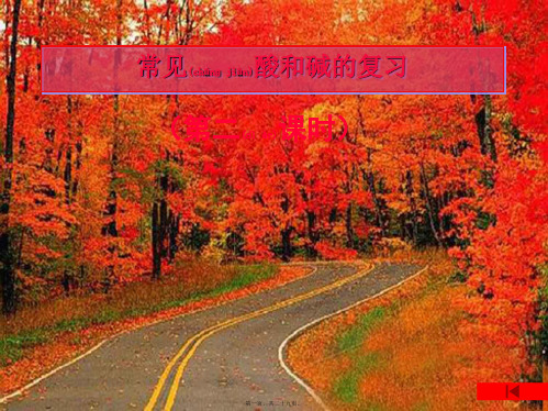 九年级化学全册 第七单元 常见的酸和碱讲课用课件 (新)