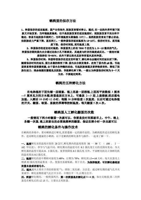 鹌鹑蛋孵化方法