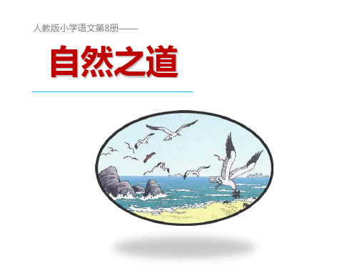 四年级下册语文课件9自然之道∣人教新课标 (共12张PPT)