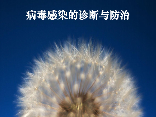临床医学微生物学PPT-病毒感染的检查方法与防治原则课件
