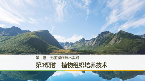 高二苏教版生物选修一课件：1.3 植物组织培养技术