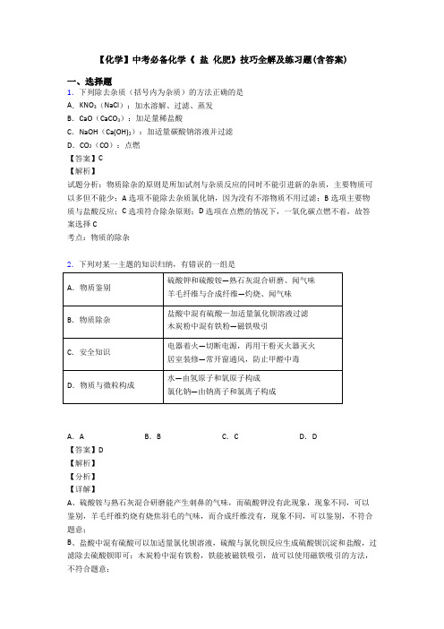 【化学】中考必备化学《 盐 化肥》技巧全解及练习题(含答案)