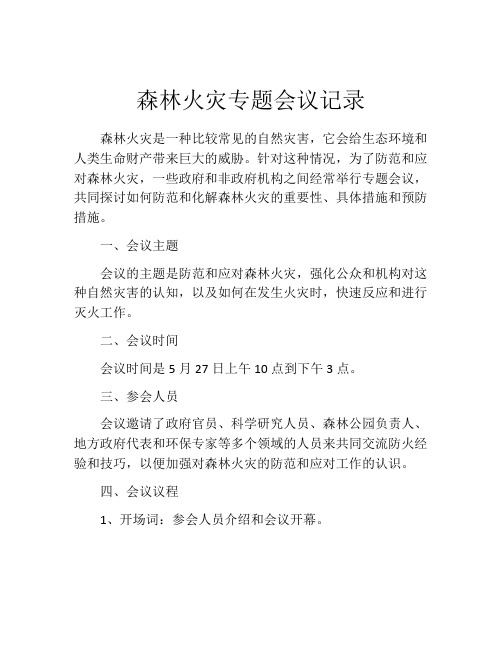 森林火灾专题会议记录