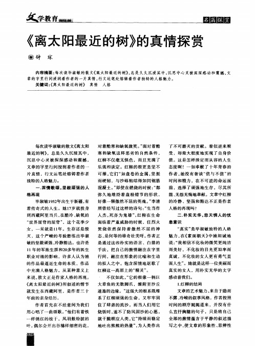 《离太阳最近的树》的真情探赏