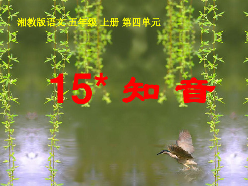 五年级语文上册第四单元知音精选优质教学PPT1湘教版