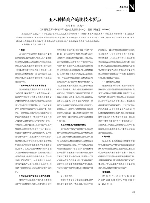 玉米种植高产施肥技术要点