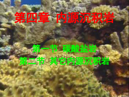 第四章内源沉积岩