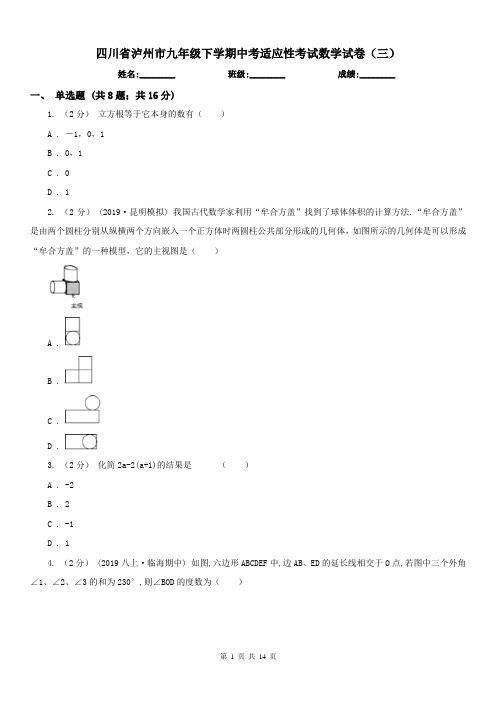 四川省泸州市九年级下学期中考适应性考试数学试卷(三)