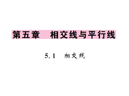 相交线与平行线_实用课件2