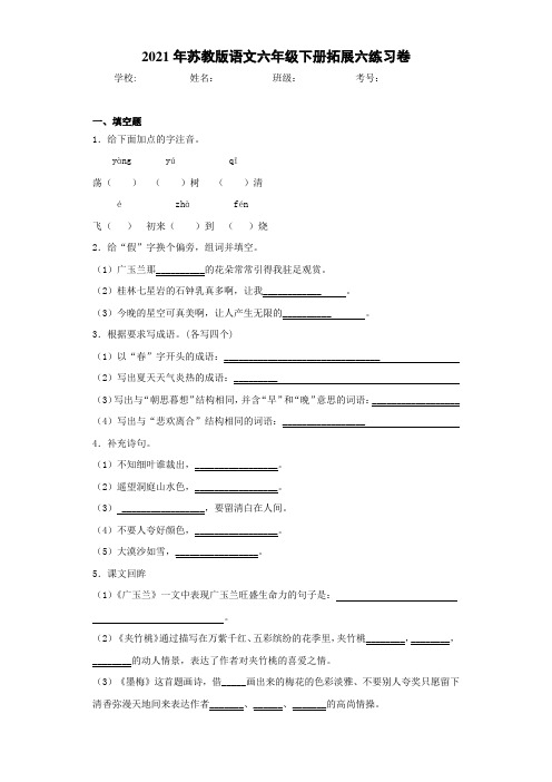 2021年苏教版语文六年级下册拓展六练习卷