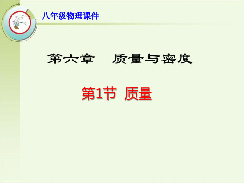 《第1节 质量》优质课件(两套)
