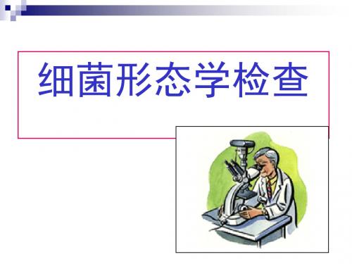 细菌的形态学检查法