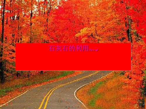九年级化学上册《石灰石的利用》课件10 