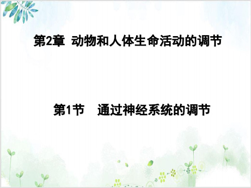 [人教版]《通过神经系统的调节》课件下载2