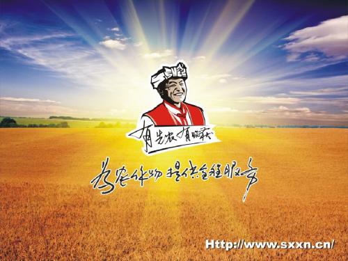 杨杉  感恩