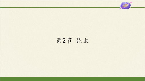苏科版初中生物七年级下册课件-5.12.2 昆虫6