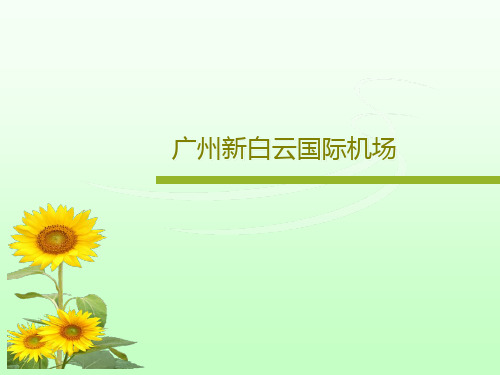 广州新白云国际机场共16页PPT