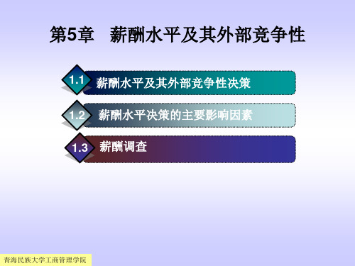 第五章薪酬水平及其外部竞争性 