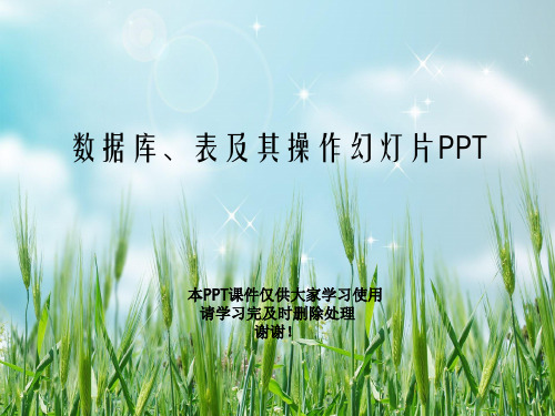 数据库、表及其操作幻灯片PPT