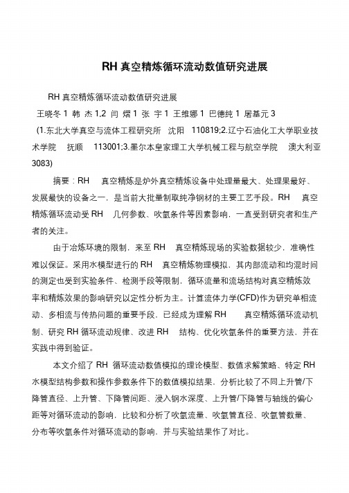 RH真空精炼循环流动数值研究进展