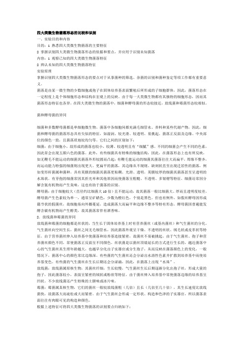 四大类微生物菌落形态的比较和识别