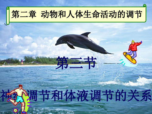 生物：2.3《神经调节与体液调节的关系》(新人教版必修3)(1)